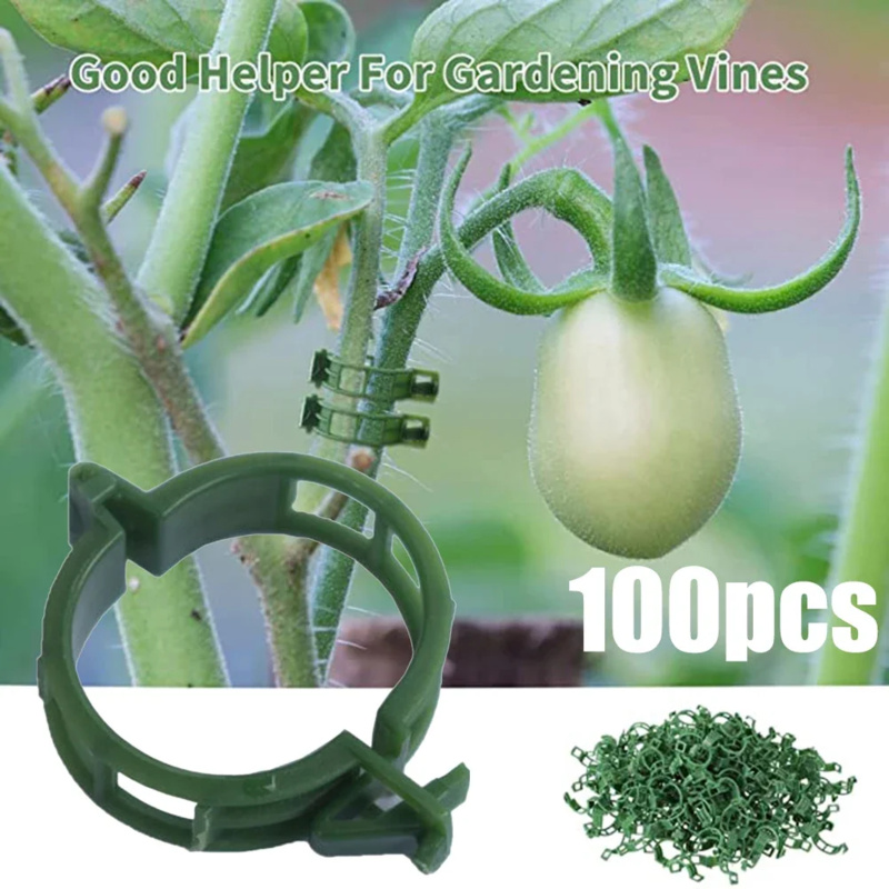 Plant Parent Tools - 100 قطعة/مشبك دعم النبات العلاقات البلاستيكية