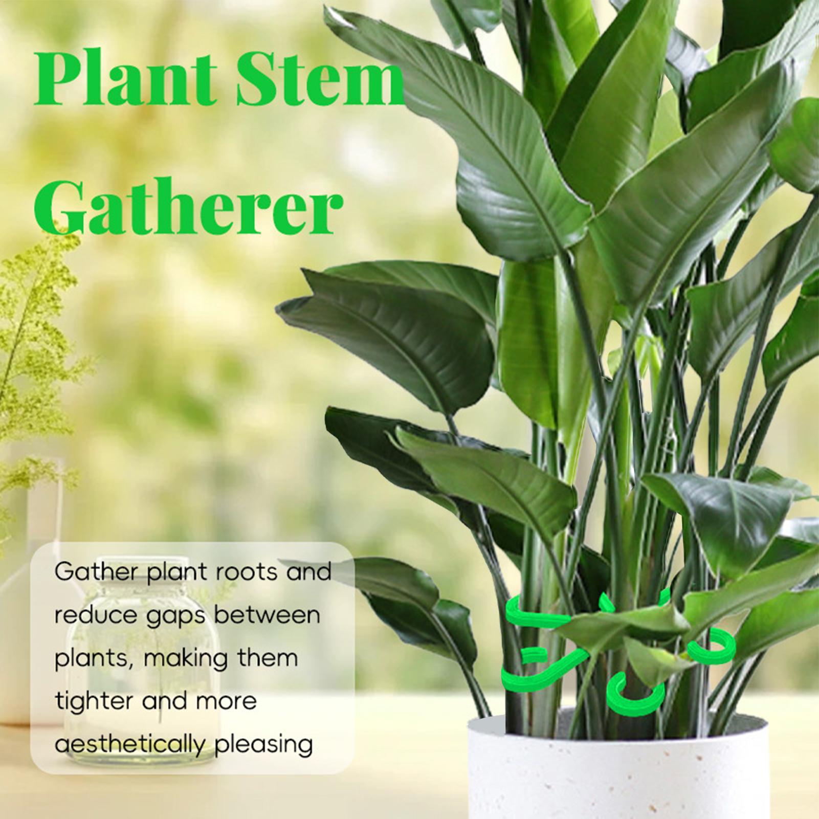 4 قطع مشبك تثبيت النباتات، إطا - مراجعة Plant Parent Tools وسعره
