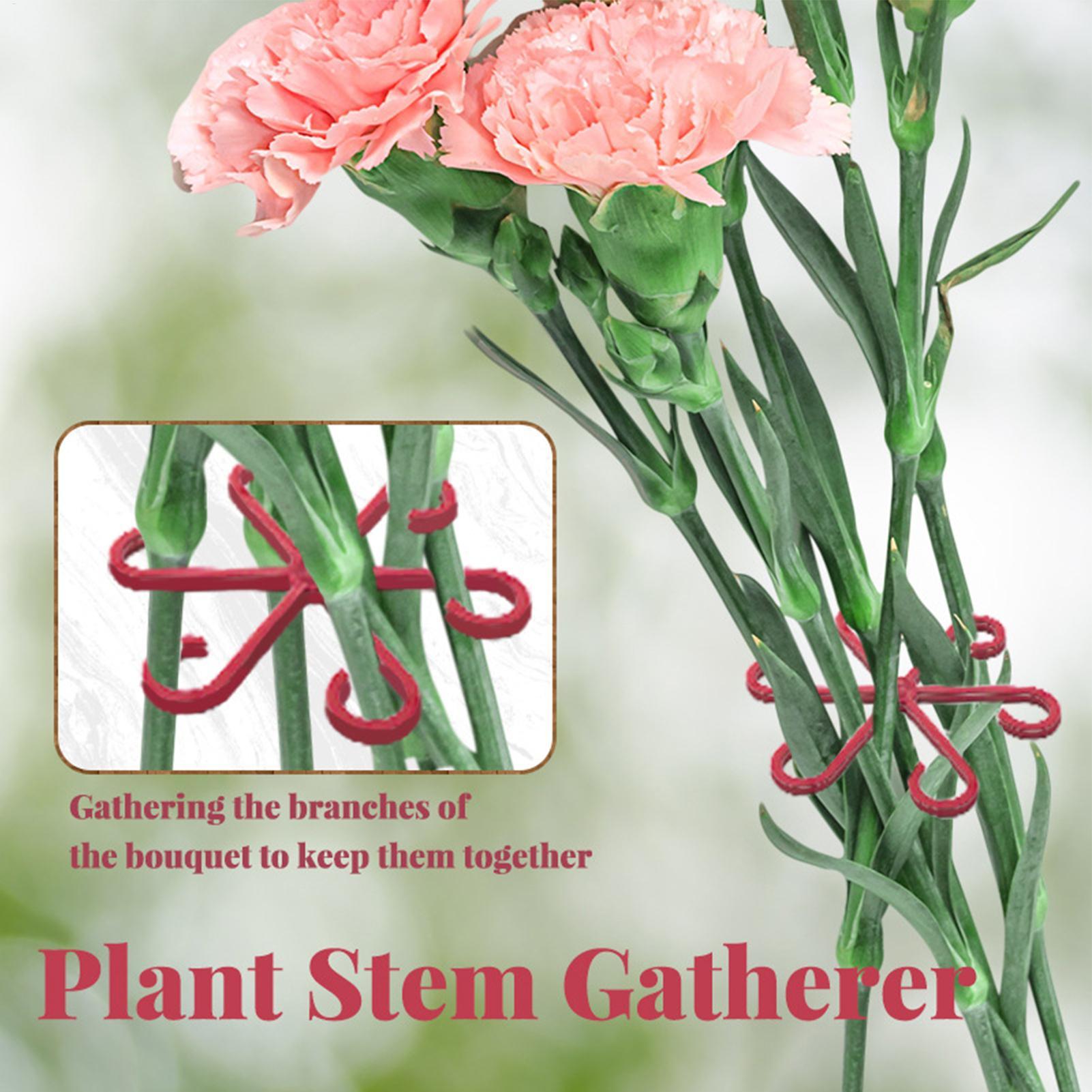 4 قطع مشبك تثبيت النباتات، إطا - مراجعة Plant Parent Tools وسعره