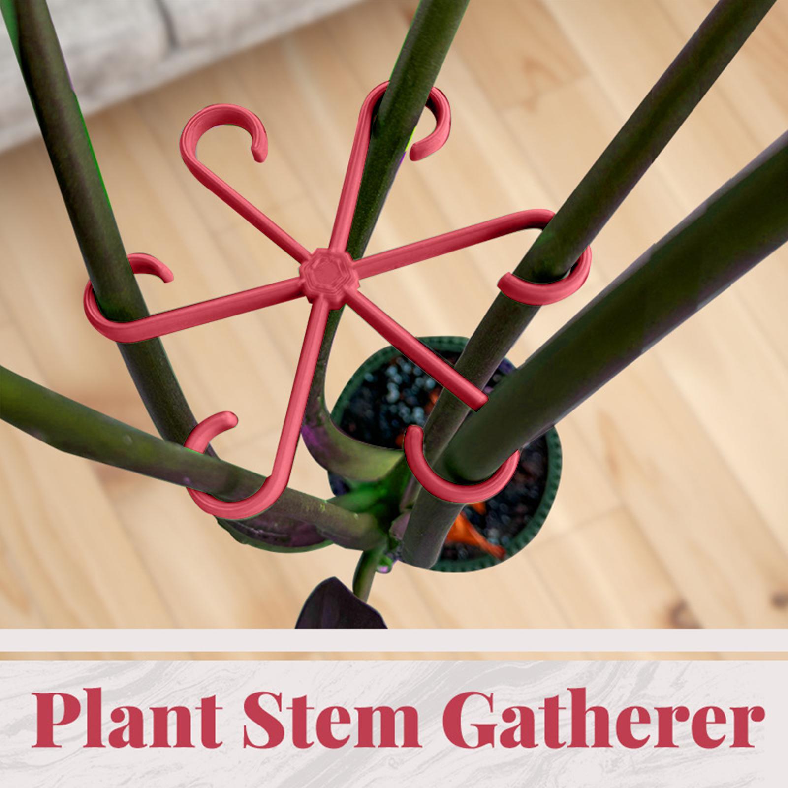 4 قطع مشبك تثبيت النباتات، إطا - مراجعة Plant Parent Tools وسعره