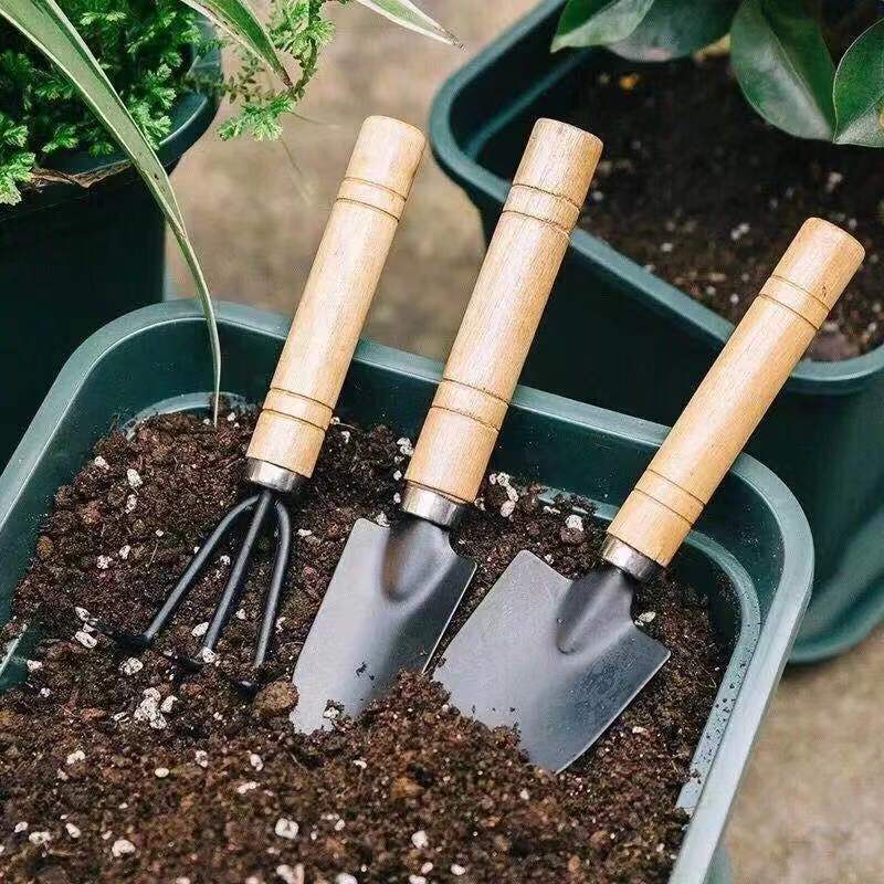 3 قطعة/1 مجموعة أدوات البستنة  - مراجعة Plant Parent Tools وسعره
