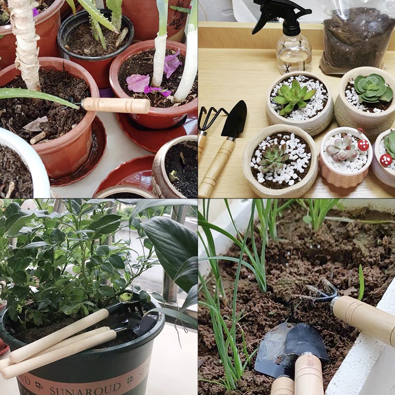 3 قطعة/1 مجموعة أدوات البستنة  - مراجعة Plant Parent Tools وسعره