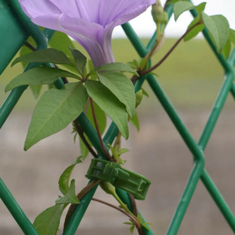 100 قطعة/مشبك دعم النبات العلا - مراجعة Plant Parent Tools وسعره