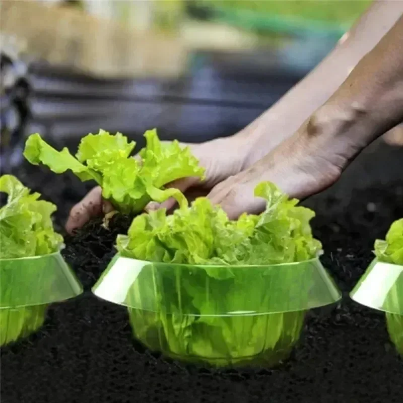 حلقات حماية سبيكة النباتات غطا - مراجعة Plant Parent Tools وسعره