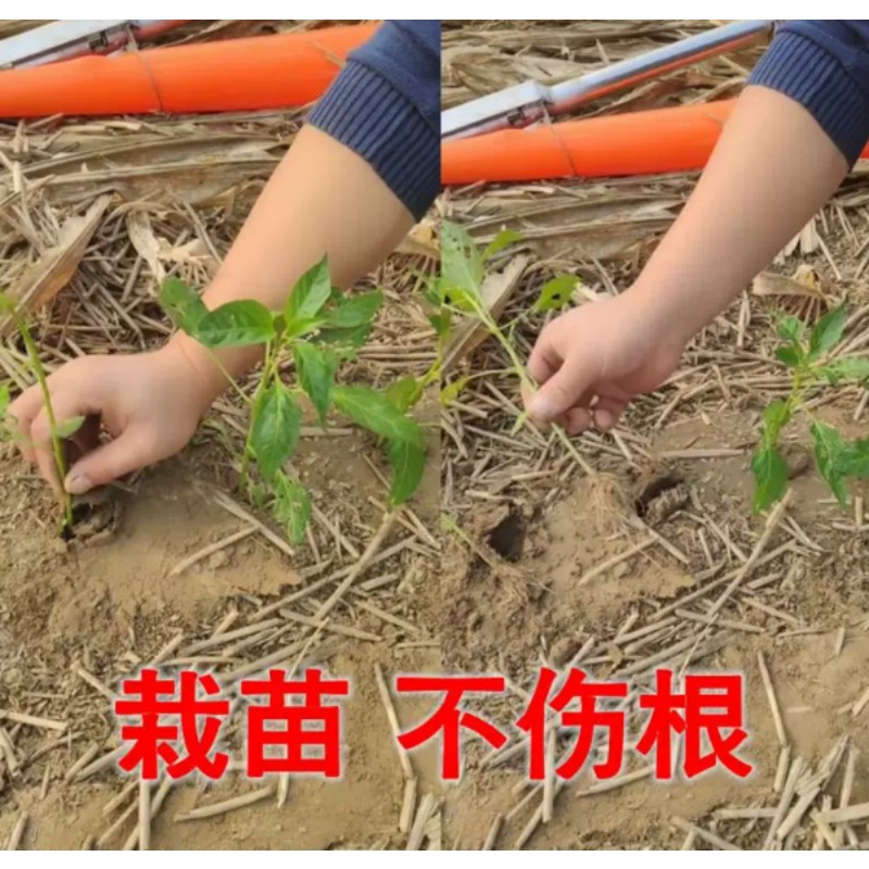 أداة زراعية لزراعة الشتلات في  - مراجعة Plant Parent Tools وسعره