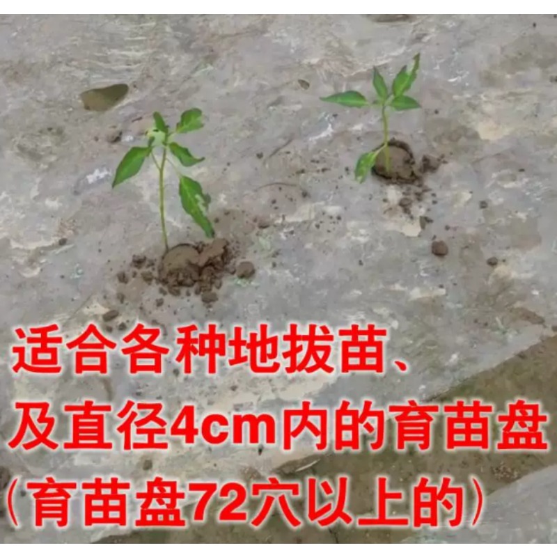 أداة زراعية لزراعة الشتلات في  - مراجعة Plant Parent Tools وسعره